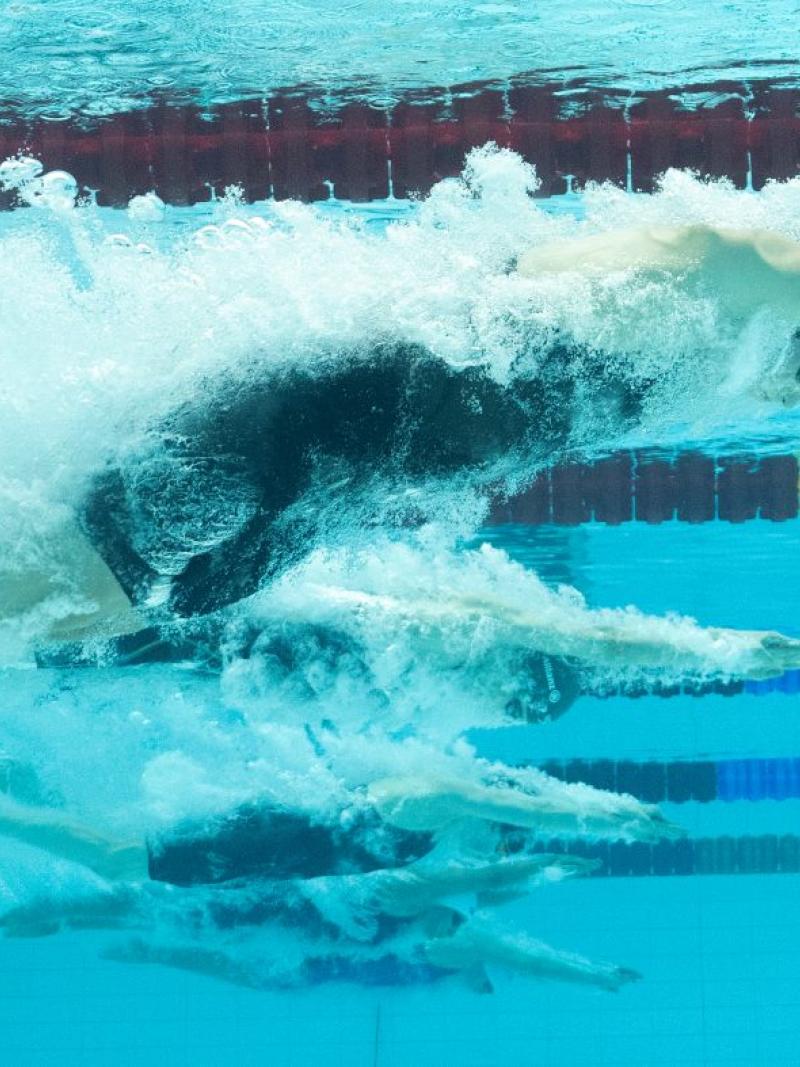 An underwater photo of five female swimmers in the water