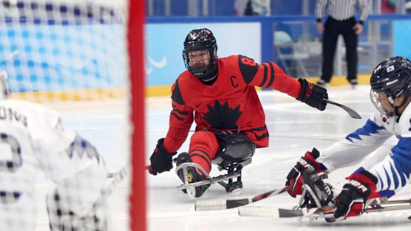 A male Para ice hockey player is scoring a goal