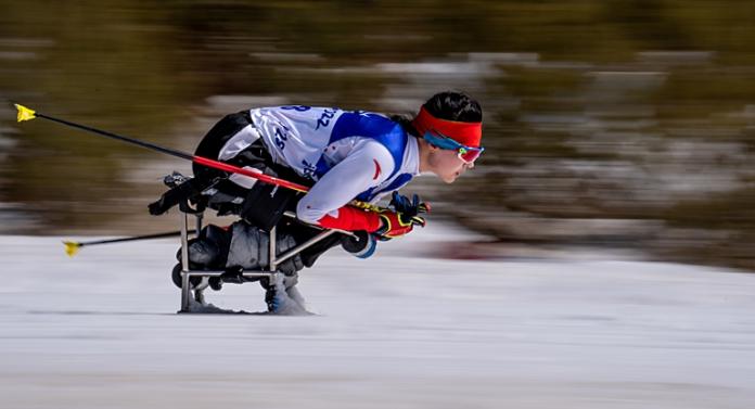 A female sit-skier is competing in a cross-country race
